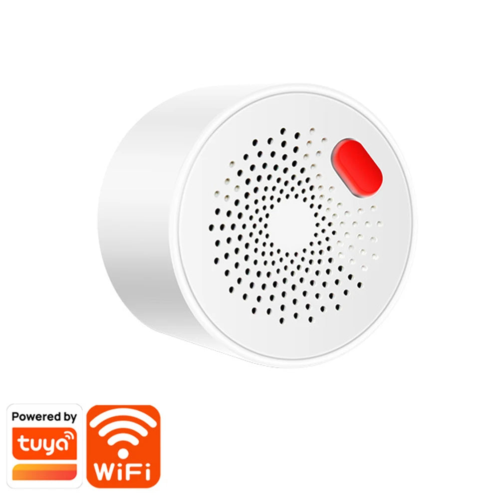 Gas Leakage Detector